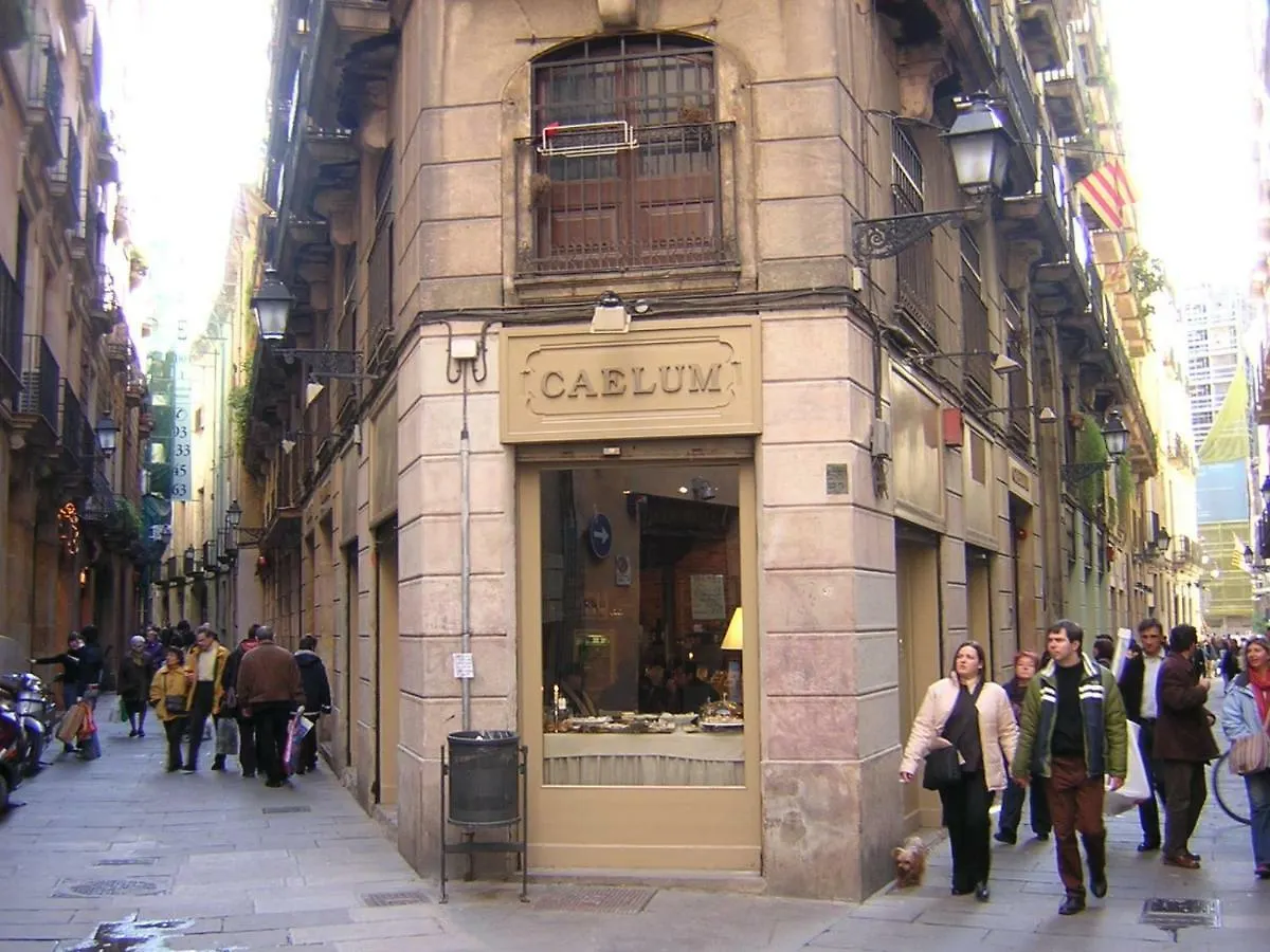 Apartment Family Flat Near Ramblas Bcn 5 Rooms Barcelona